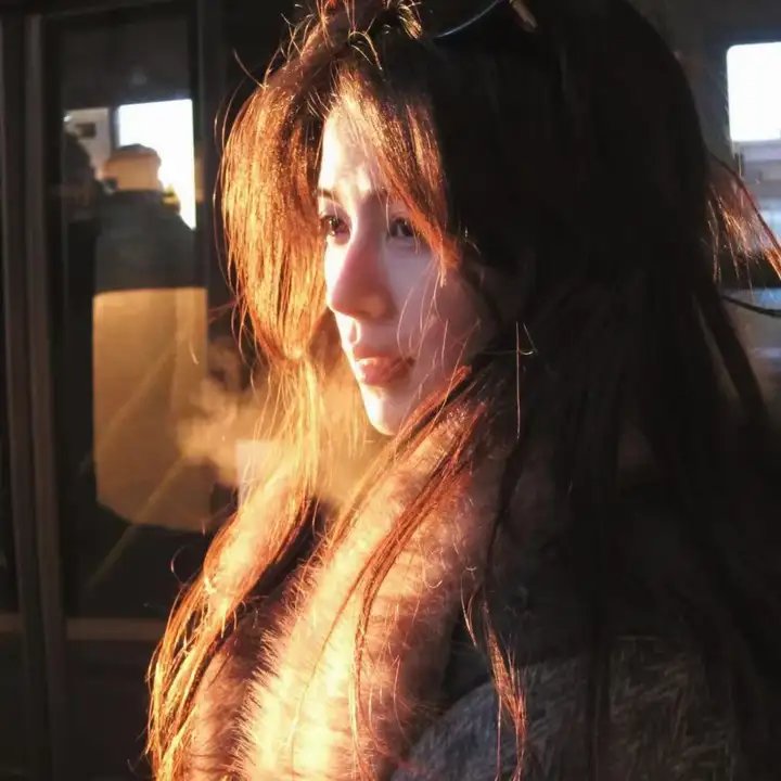 风野郎在线观看